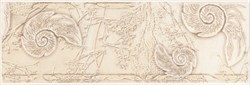 U-TRA-WBJ301 Trawertino Beige listwa Muszla 8.6x25 - фото 75285