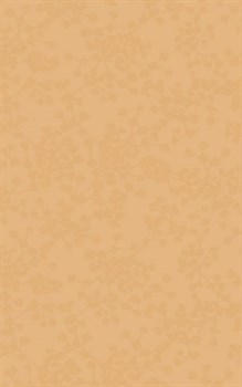 Liryka Beige 30*45 - фото 75456