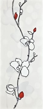 Ikaria Rosa Beta ins. 20*50 - фото 75501