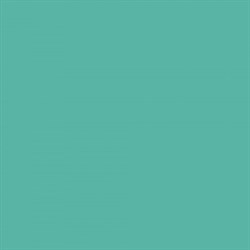 FJ4R022R Flavis Green 42*42 - фото 75528