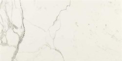 Плитка MMGT Allmarble Statuario 60*120 - фото 75638