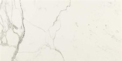 Плитка MMGQ Allmarble Statuario Lux 58*116 - фото 75644