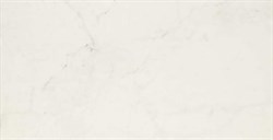 Плитка MMGR Allmarble Altissimo Lux 58*116 - фото 75645