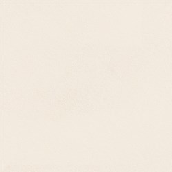 Керамогранит A_Avorio Lux Rett. 60х60 - фото 77177