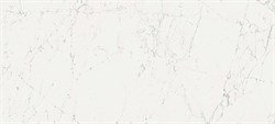 Плитка облиц. керамич. MARVEL CARRARA PURE 110, 50x110 - фото 80346