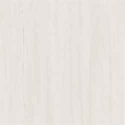 Плитка облиц. керамич. MARVEL BIANCO DOLOMITE 60X60 LAPPATO, 60x60 - фото 80394