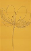 255D3RD DREAM A YELLOW
