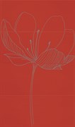 255D2RD DREAM A RED