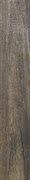 Amazz 16100G LP