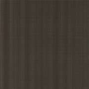 E_Motion Brown Pav.