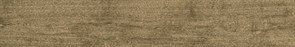 Montana Noce 19,3x120