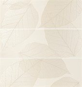 Nature Lino Dore FNO