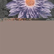 Composicion 2210 Lila Turquesa Marengo Garden 3 67,5x67,5