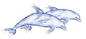 DB2G051D DeepBlue Декор Дельфин 20х44
