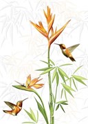C-JU2M052 Jungle Белый декор 25*35