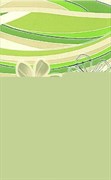 Carioca Zefir A 25х40