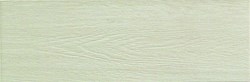 Extra Betulla 19,5x59