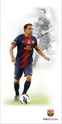 FCB XAVI R3060, 30x60