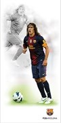 FCB PUYOL R3060, 30x60