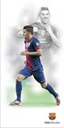 FCB VILLA R3060, 30x60