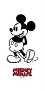 MICKEY CLASSIC R3060, 30x60