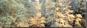 Декор керамич. VIEW DECOR D