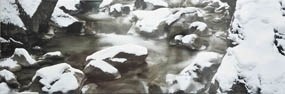 Декор керамич. TORRENT DECOR C