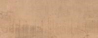 Concorde Miele 20*50