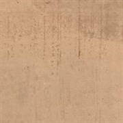 Concorde Miele 45*45