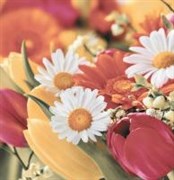 Brazil Deco Flowers 2 Панно из 3 плиток