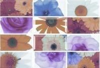 Biselado - 10 Decorado Bocana Комплект декоров из 12 плиток