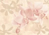 C-GT2M011 Gentle вставка 25x35