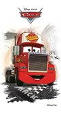 Декор керамич. DISNEY MACK R3060