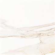 Calacata Gold 59.6x59.6