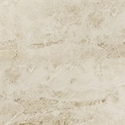 V5590631 Cappucino Beige 59.6x59.6