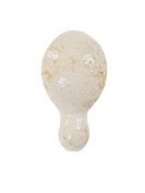 Ct-Edfu Almond CH31 3*5