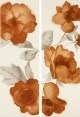 Декор Colourline Ivory/Orange Decoro MLES 22*66.2