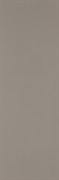 Плитка Colourline Taupe MLE2 22*66.2