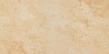 Плитка Evolutionstone Quarrzite MHO4 60*120