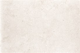 Плитка Loma Blanco DT91 25*38