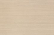 Плитка Nova Beige DR72 25*38