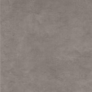 Плитка Rt-Grey Style 48 PFF6 48*48
