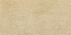 Плитка Rt-Beige Style 59 DM95 29*59