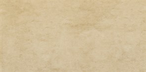 Плитка Beige Style 60 DM54 30*60
