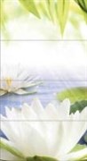 NT2H022D Nature Lotus 2 панно (компл из 4-х шт) 44x80