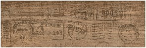 Декор 2m32/d01 Eucalyptus/Эвкалипт 20x60