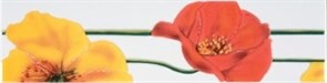 MONOCOLOR POPPY Бордюр красный R 7х27,5