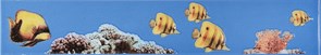 MONO FISH Бордюр синий BL 7х40