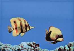 MONO FISH 2 Декор 27,5х40