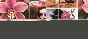 Romance Панно P6D184 90х40 (из 6-ти пл.)